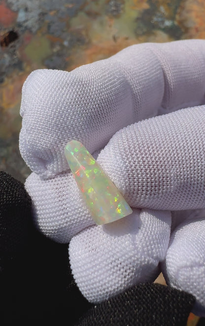 Coober Pedy Belemnite Opal (Fossilised Squid) 2.6carat Solid