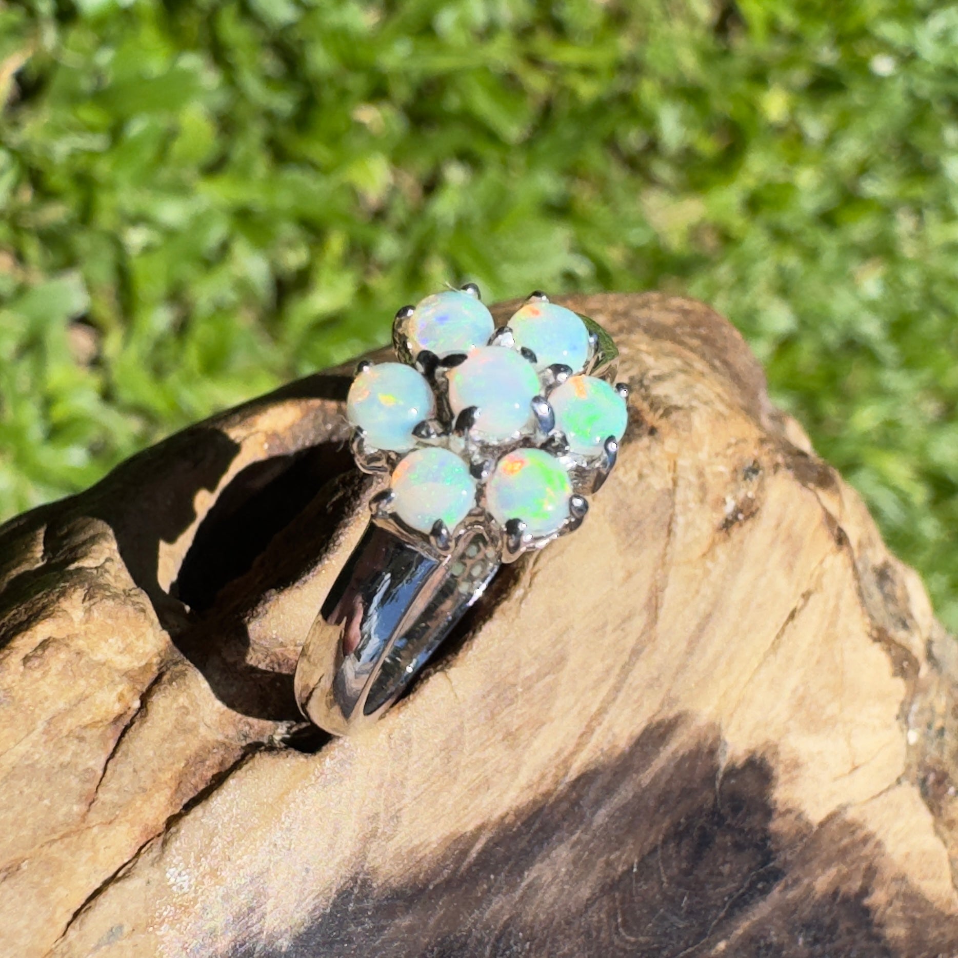 Shipsterns Bloom – Solid Lightning Ridge Crystal Opal 925 Sterling Silver Ring